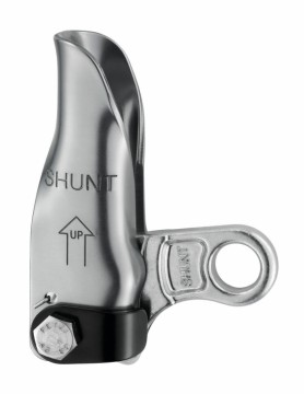 shunt_2018.jpg